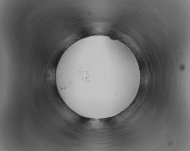 X0000101210425200807251053