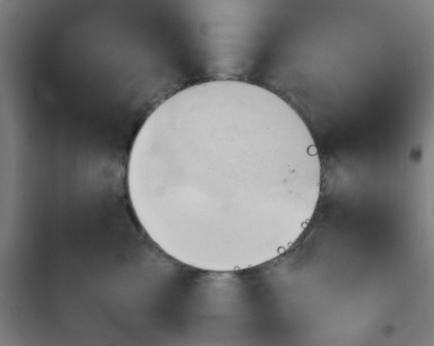 X0000101210427200807251053