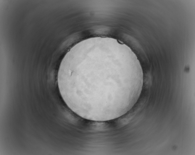 X0000101210428200807251053