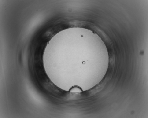 X0000101210429200807251053