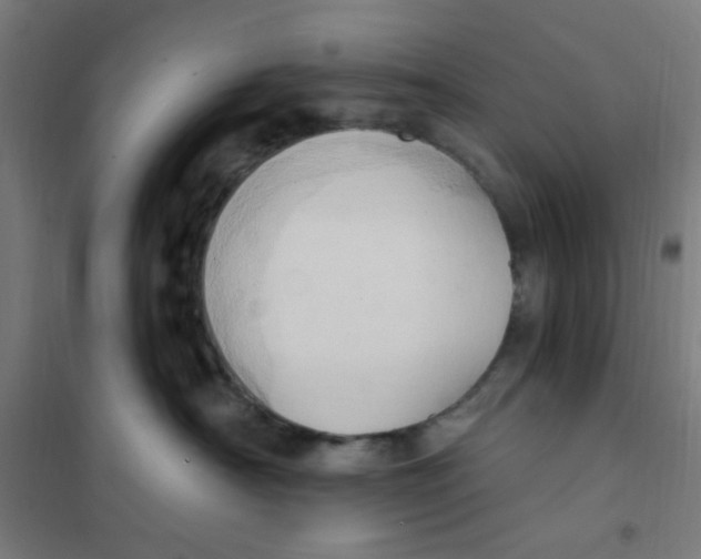 X0000101210430200807251053