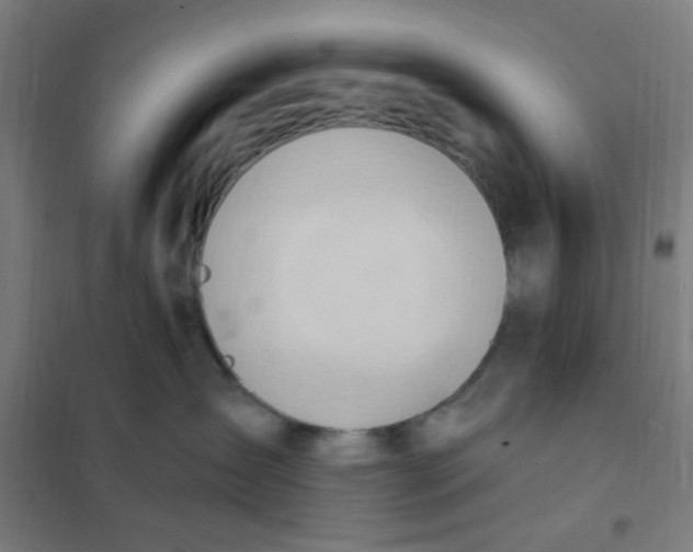 X0000101210431200807251053