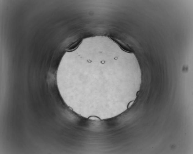 X0000101210432200807251053