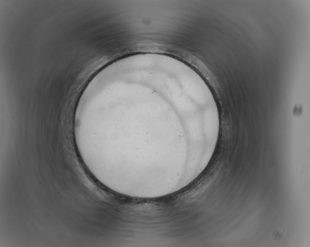 X0000101210433200807251052