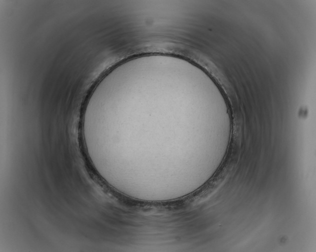 X0000101210434200807251052