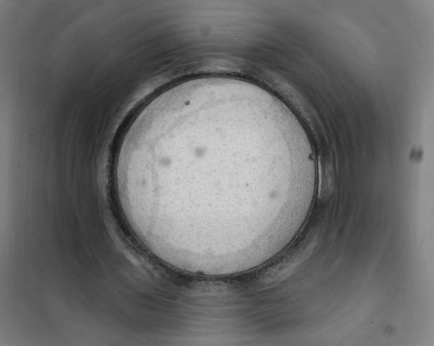 X0000101210435200807251052