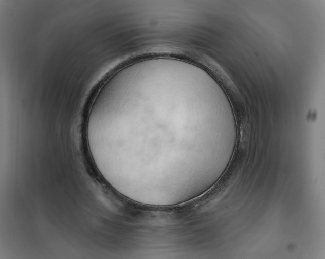 X0000101210436200807251052