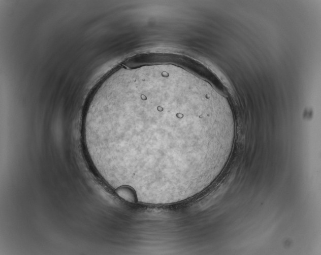 X0000101210437200807251052