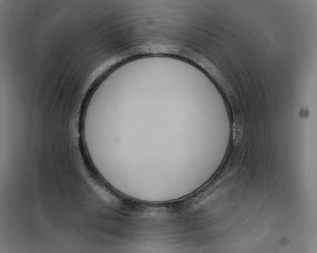 X0000101210438200807251052