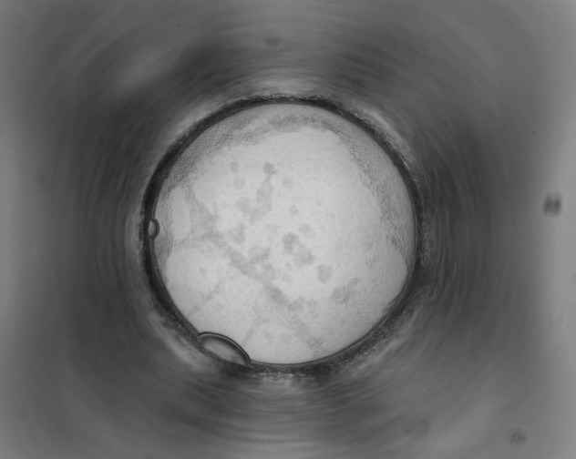 X0000101210439200807251052