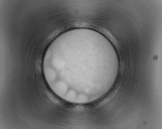 X0000101210441200807251052