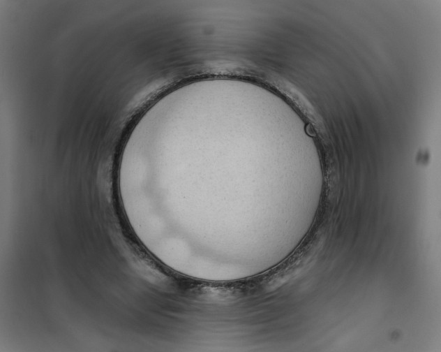 X0000101210442200807251053