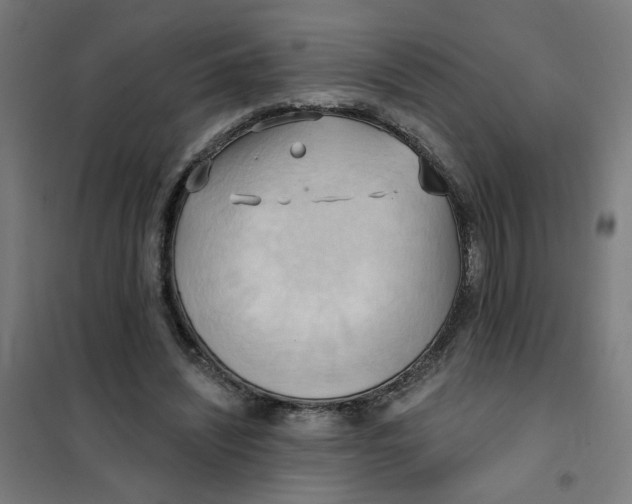 X0000101210444200807251053