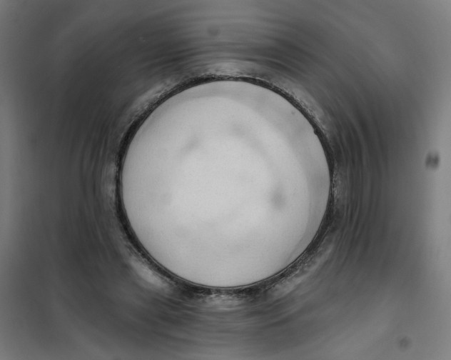 X0000101210445200807251053