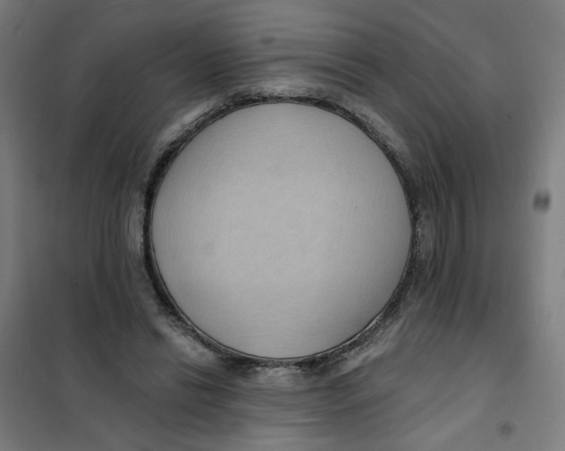 X0000101210446200807251053