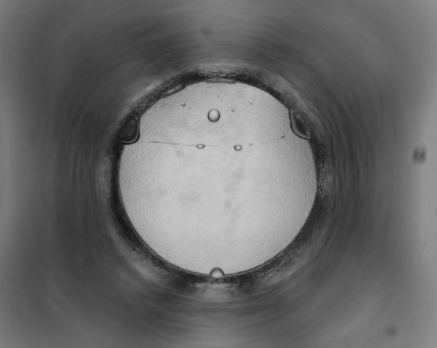 X0000101210448200807251053