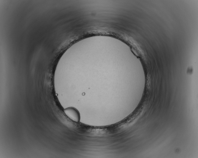 X0000101210449200807251053