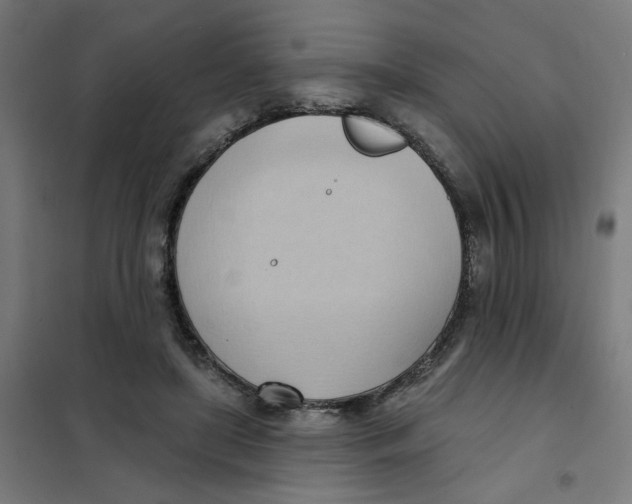 X0000101210451200807251053