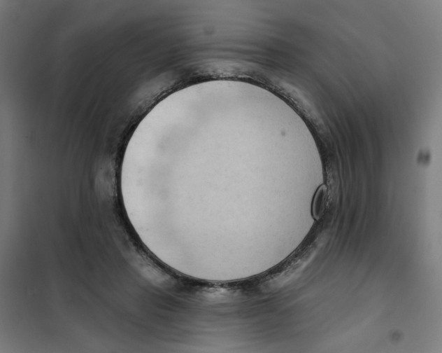 X0000101210453200807251053