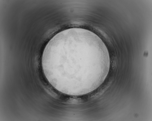 X0000101210455200807251053