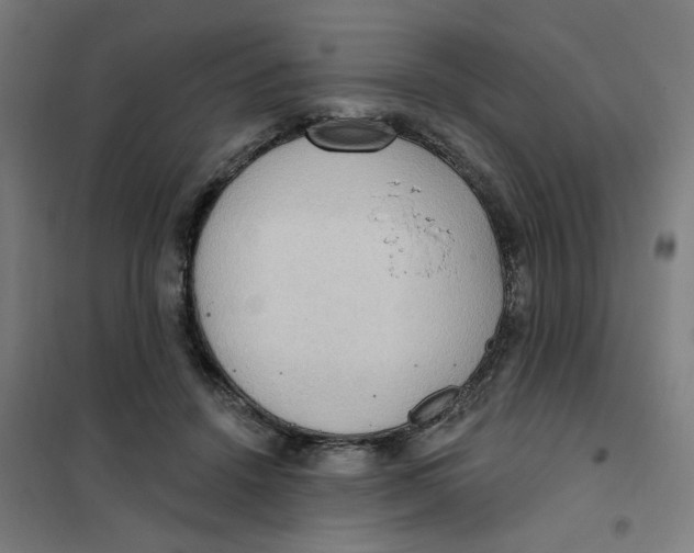 X0000101210456200807251053