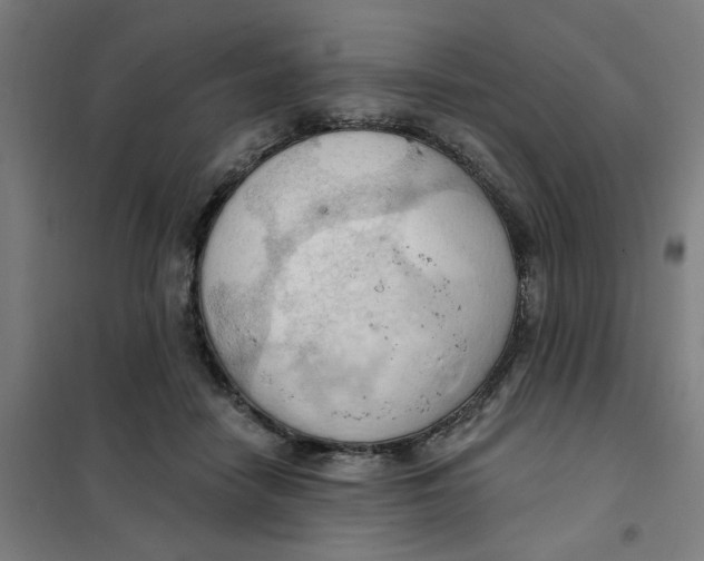 X0000101210458200807251053