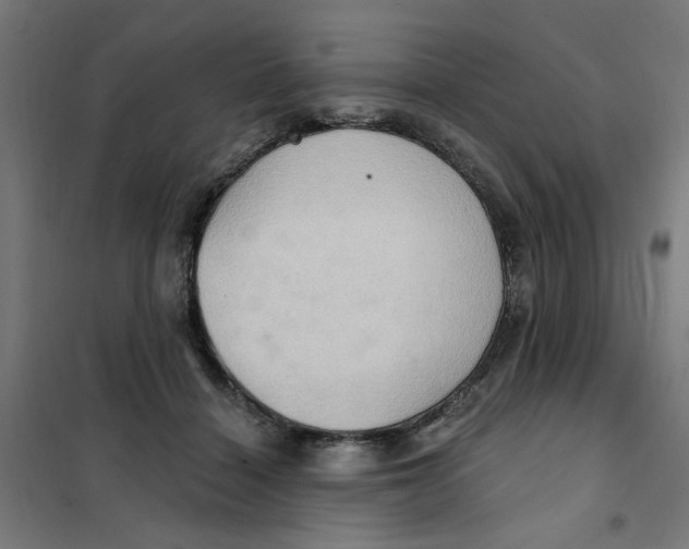 X0000101210460200807251053