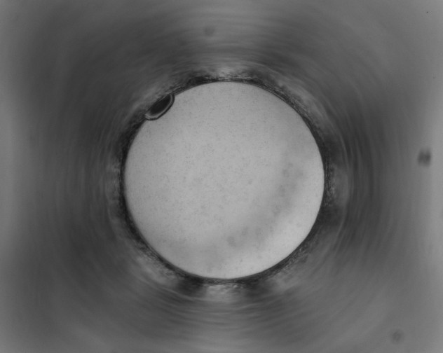 X0000101210461200807251053