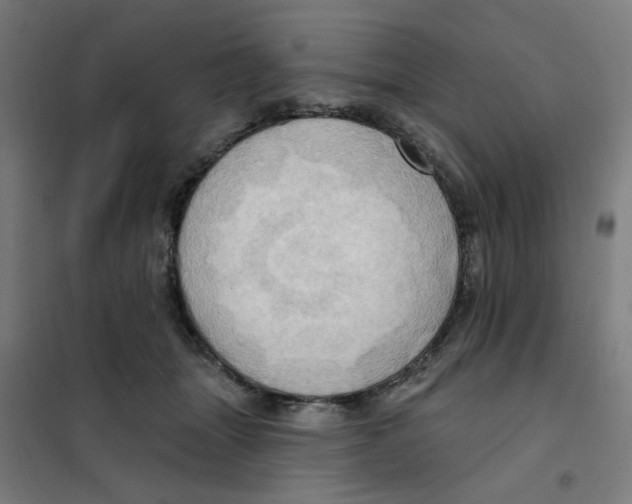 X0000101210463200807251053