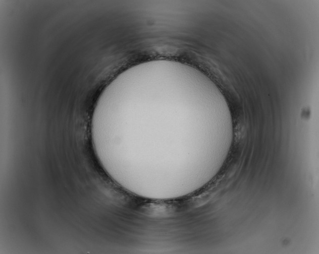 X0000101210464200807251053