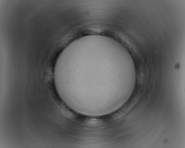 X0000101210467200807251053