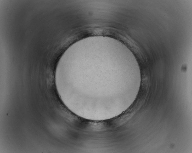 X0000101210469200807251053