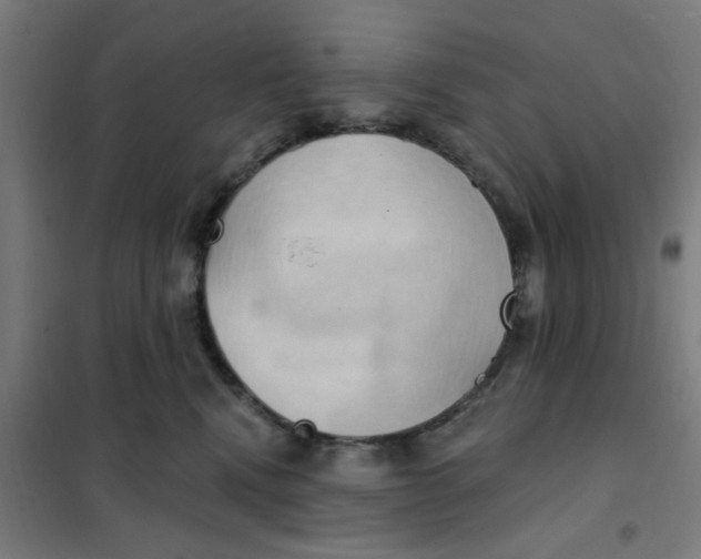 X0000101210472200807251053