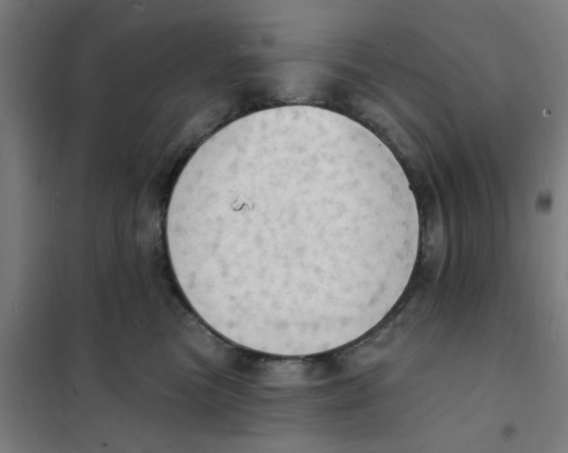 X0000101210473200807251053