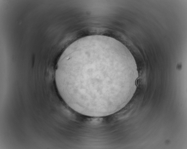 X0000101210474200807251053