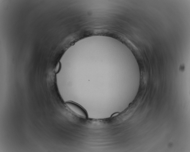 X0000101210475200807251053