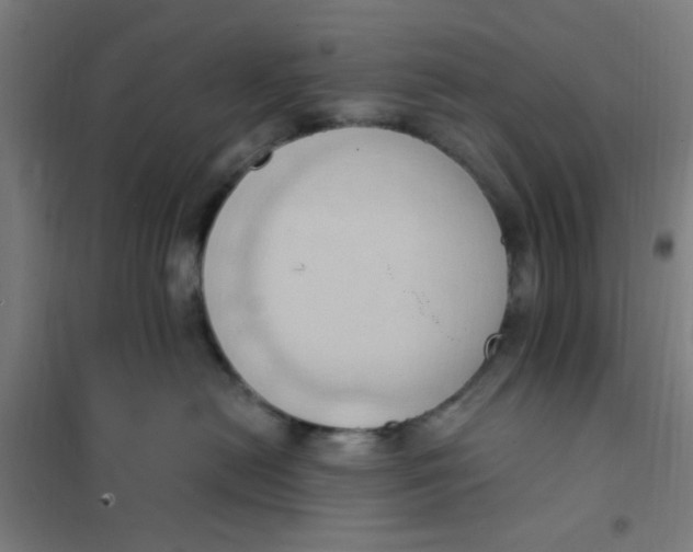 X0000101210478200807251053