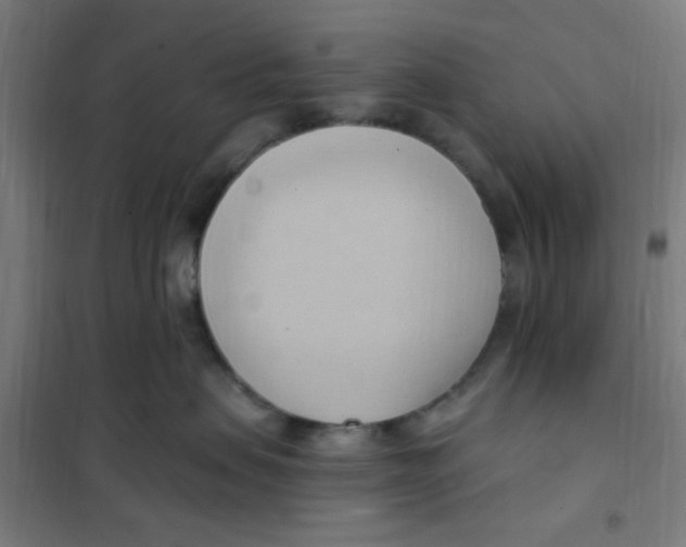 X0000101210479200807251053