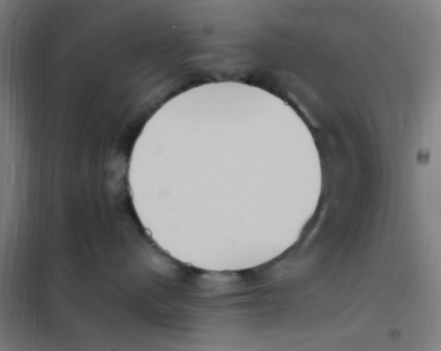 X0000101210480200807251053