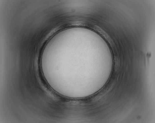 X0000101210482200807251052