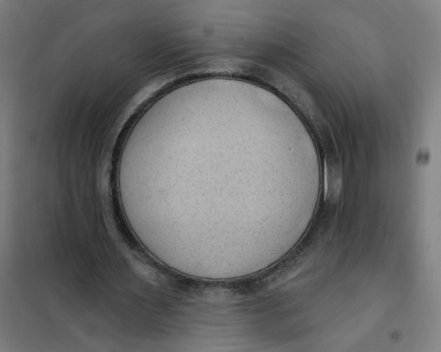 X0000101210483200807251052