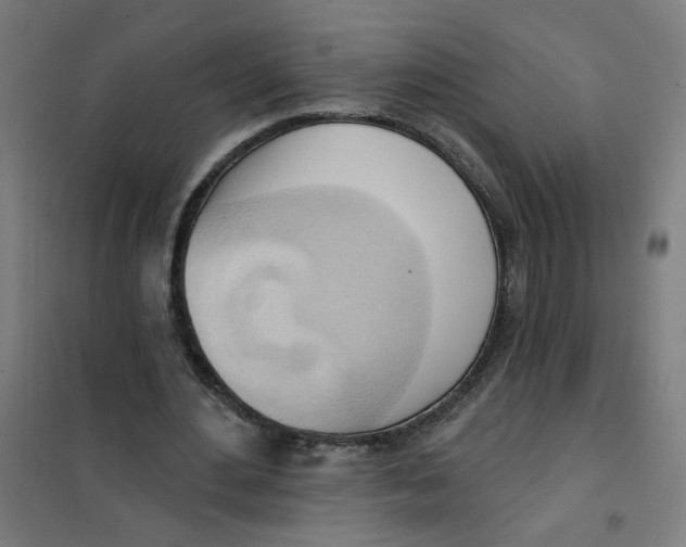 X0000101210484200807251052