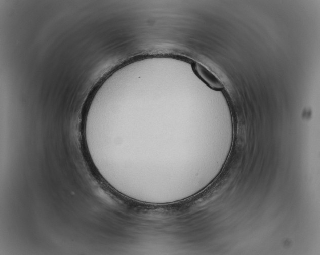 X0000101210485200807251052