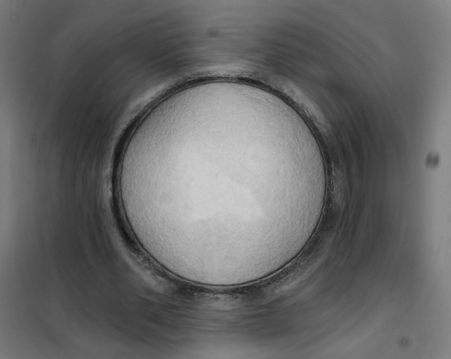 X0000101210486200807251052