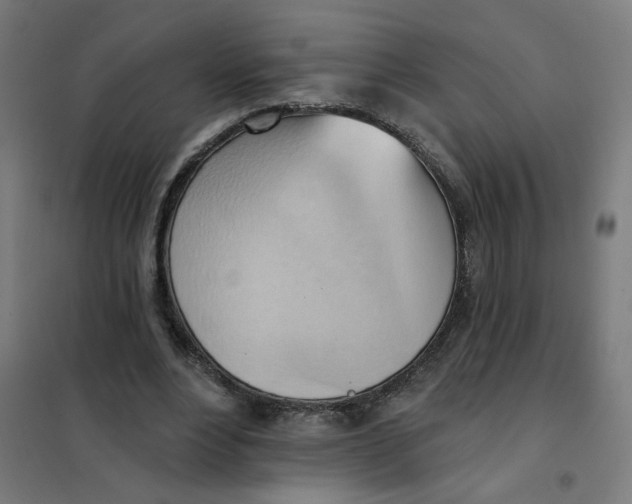 X0000101210488200807251052