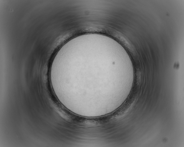 X0000101210490200807251052