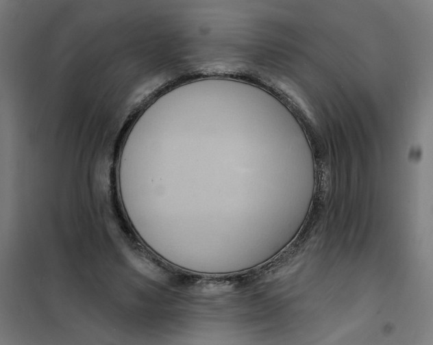 X0000101210491200807251052