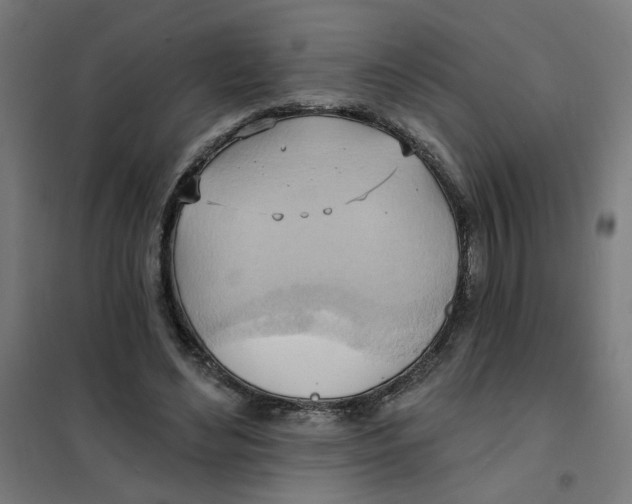 X0000101210492200807251052