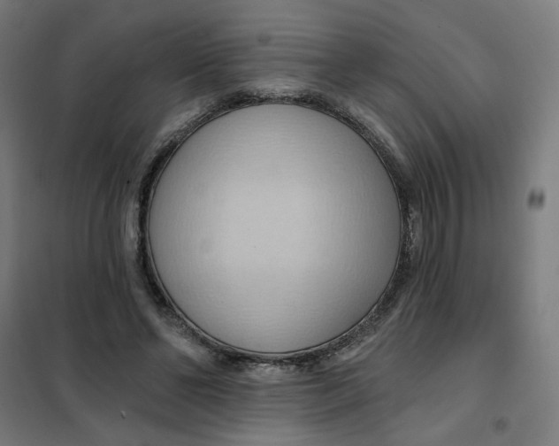 X0000101210494200807251052