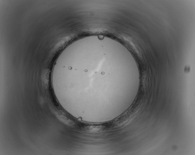 X0000101210495200807251052